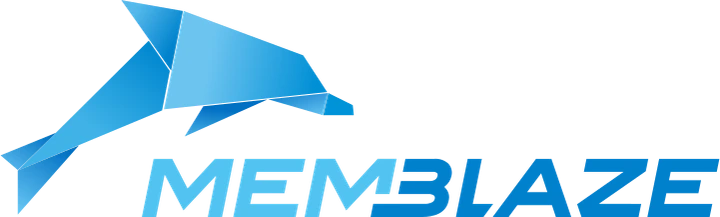 Memblaze brand identifier