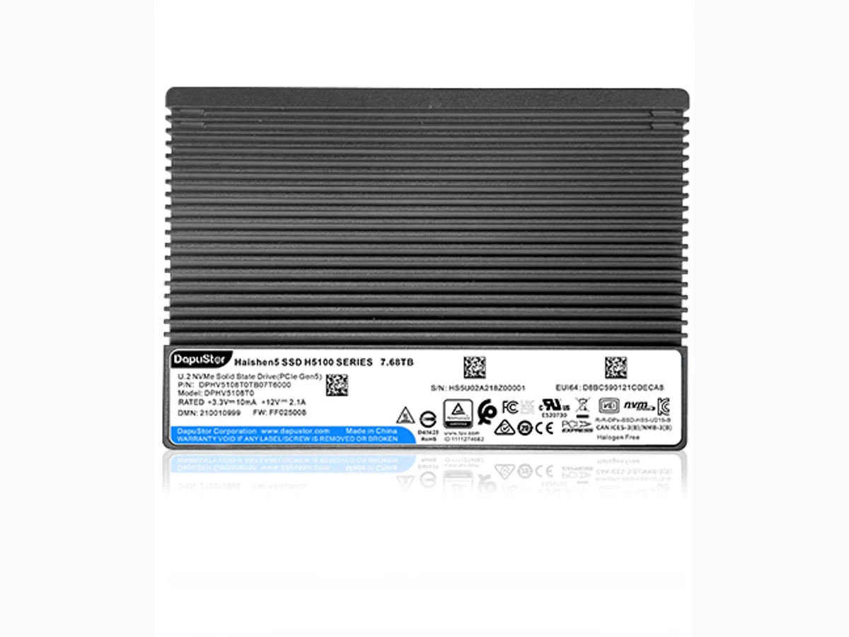 DapuStor H5100 Haishen5 PCIe 5.0 Enterprise NVMe SSD